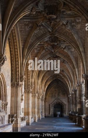 Spanien, Castilla y Leon, Leon Provinz, Leon, Catedral de Leon, Kathedrale, Detail der Klöster Stockfoto