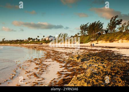 Eleuthera Insel, Harbour Island, Bahamas, Pink Sand Beach, dawn Stockfoto