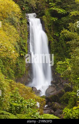 Dominica, Roseau, Roseau Valley, Trafalgar Wasserfälle Stockfoto