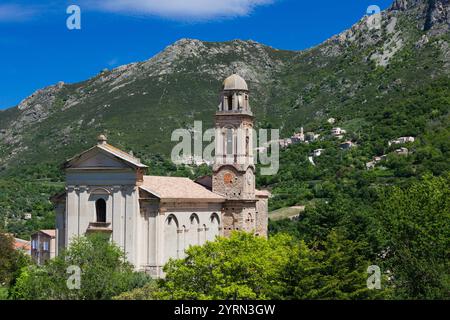 Frankreich, Korsika, Haute-Corse Abteilung, La Balagne Region, Feliceto, barocken Stadtkirche Stockfoto