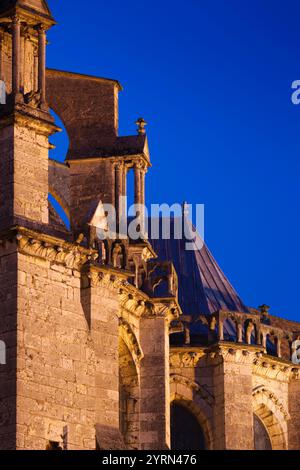 Frankreich, Region Centre, Eure et Loir Abteilung, Chartres, Kathedrale von Chartres, äußere Details, Morgendämmerung Stockfoto