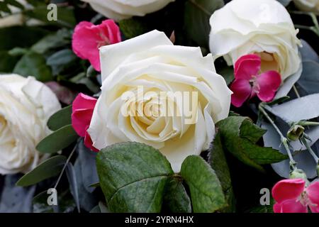 Ein Strauß weißer Rosen und einige rote und rosa Blumen Stockfoto