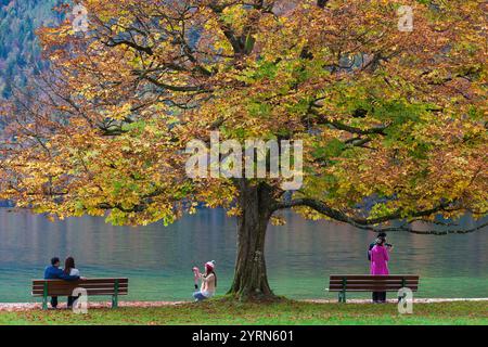 Deutschland, Bayern, Königssee, St. Bartholoma, Herbstlaub. Stockfoto