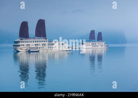 Vietnam, Halong-Bucht, Touristenboote, Sonnenaufgang. Stockfoto