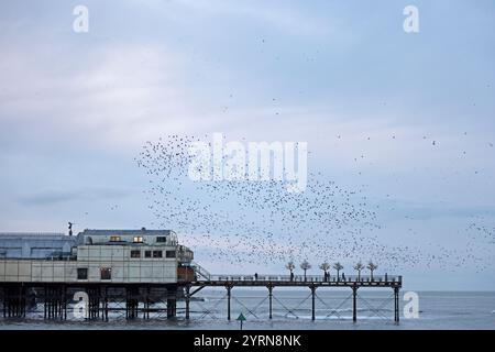 Starlinge über dem Aberystwyth Pier im Winter Stockfoto