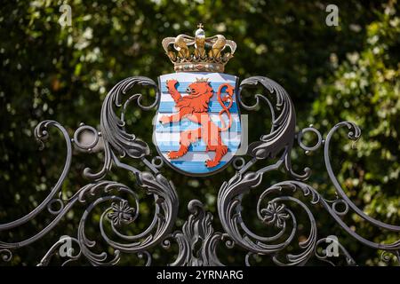 Luxemburger Wappen mit dem roten Löwen auf einem schmiedeeisernen Tor, Luxemburg, Luxemburg, Europa Stockfoto