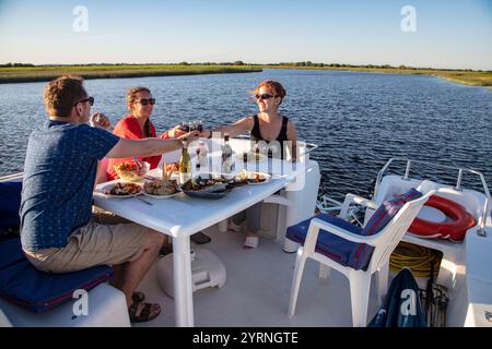 Freunde genießen Abendessen an Deck eines Le Boat (Emerald Star) Magnifique Hausbootes in Clonmacnoise Marina am Fluss Shannon, Clonmacnoise, County Off Stockfoto