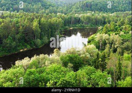 Gauja Fluss, rund um Sigulda, Gauja Nationalpark, Vidzeme Region, Lettland, Baltikum, Nordeuropa Stockfoto