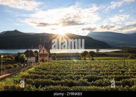 Der Kalterer See bei Sonnenaufgang, Weinberge im Vordergrund Stockfoto