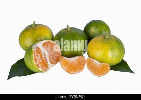 Grüne frische Mandarinen auf weißem Hintergrund. Reife grüne Mandarinen. Mandarin Stockfoto