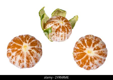 Drei geschälte Mandarinen isoliert auf weißem Hintergrund. Bilder reifer Mandarinen. Mandarin Stockfoto