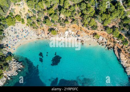 Blick aus der Vogelperspektive auf Cala Saladeta auf Ibiza, mit türkisfarbenem Wasser, einer sandigen Bucht und üppigem Kiefernwald, ein perfekter mediterraner Zufluchtsort für Natur und Stockfoto