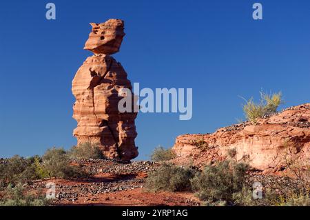 Rock Säule, Parque Nacional Talampaya, in der Nähe von Villa Union, La Rioja, Argentinien, Südamerika Stockfoto