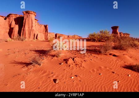 Parque Nacional Talampaya, in der Nähe von Villa Union, La Rioja, Argentinien, Südamerika Stockfoto