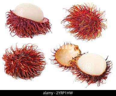 Frische tropische Rambutan-Früchte isoliert auf weiß, Set Stockfoto