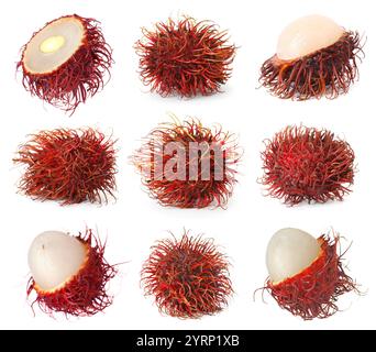 Frische tropische Rambutan-Früchte isoliert auf weiß, Set Stockfoto