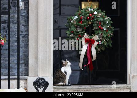 Larry, die Downing Street Katze am Weihnachtskranz an der Tür 10, in London, Großbritannien Stockfoto