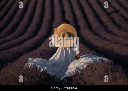 Lavendel Field Woman Dress: Provence, France Sonnenuntergang; Frau sitzt inmitten des blühenden Lavendels und genießt die Landschaft während der goldenen Stunde. Stockfoto