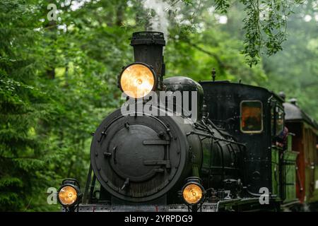 Die Dampfeisenbahn des alten Museums nähert sich durch den grünen Wald Stockfoto