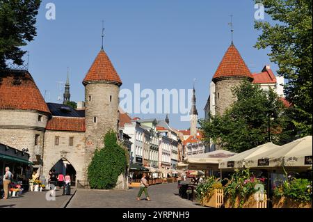 Tor in der Viru Street, Tallinn, estland, Nordeuropa Stockfoto