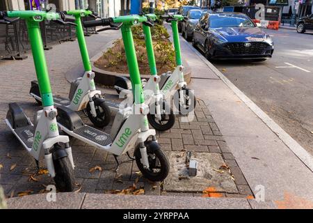 Dieses Foto zeigt eine Gruppe von Lime E-Scootern, die auf einem gepflasterten Gehweg in Charlotte, North Carolina, abgestellt sind. Die Scooter mit ihren charakteristischen grünen Griffen und weißen Rahmen symbolisieren umweltfreundliche und flexible Mobilität für die Stadtbewohner. Im Hintergrund sind eine Straße und Fahrzeuge sichtbar, die städtische Umgebung ergänzen. Die Szene deutet auf den wachsenden Trend der Mikromobilität hin, der schnell und nachhaltige Fortbewegung in urbanen Zentren möglich. *** Dieses Foto zeigt eine Gruppe von Lime E Rollern, die auf einem gepflasterten Bürgersteig in Char geparkt sind Stockfoto