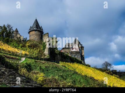 Schloss Stahleck umgeben von Weinbergen im Herbst, Bacharach, Oberes Mittelrheintal, Rheinland-Pfalz, Deutschland Stockfoto