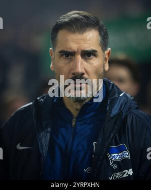 Köln, Deutschland. Dezember 2024. Trainer Cristian Fiel (Hertha) 1. FC Köln - Hertha BSC Berlin 04.12.2024 Copyright (nur für journalistische Zwecke Stockfoto
