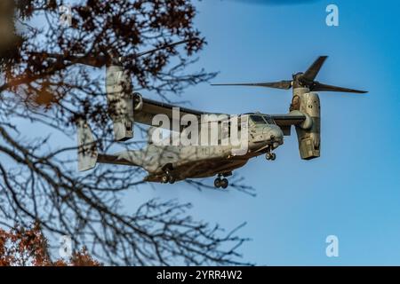 V-22 Ospreys üben Starts und Landungen am Young Air Assault Strip in Fort McCoy am 17. Und 22. Oktober 2024. Die Marine Corps Aircraft ist mit der Marine Medium Tiltrotor Squadron 161 der Marine Corps Air Sation Miramar, San Diego, Kalifornien. Die Bell Boeing V-22 Osprey ist ein US-amerikanisches Mehrzweckflugzeug für militärische Transport- und Frachtflugzeuge mit Tiltrotor und vertikalem Start- und Landebetrieb (VTOL) sowie Short Take off and Landing (STOL). Er wurde entwickelt, um die Funktionalität eines konventionellen Hubschraubers mit der Langstreckenfluggeschwindigkeit eines Turboprop-Flugzeugs zu kombinieren Stockfoto