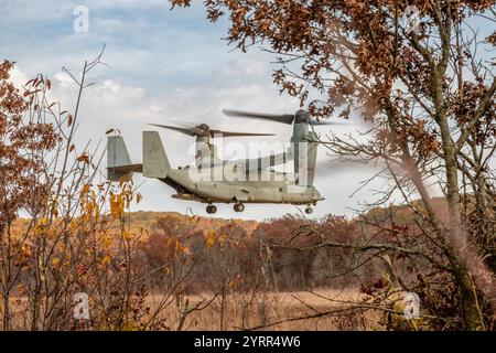 V-22 Ospreys üben Starts und Landungen am Young Air Assault Strip in Fort McCoy am 17. Und 22. Oktober 2024. Die Marine Corps Aircraft ist mit der Marine Medium Tiltrotor Squadron 161 der Marine Corps Air Sation Miramar, San Diego, Kalifornien. Die Bell Boeing V-22 Osprey ist ein US-amerikanisches Mehrzweckflugzeug für militärische Transport- und Frachtflugzeuge mit Tiltrotor und vertikalem Start- und Landebetrieb (VTOL) sowie Short Take off and Landing (STOL). Er wurde entwickelt, um die Funktionalität eines konventionellen Hubschraubers mit der Langstreckenfluggeschwindigkeit eines Turboprop-Flugzeugs zu kombinieren Stockfoto