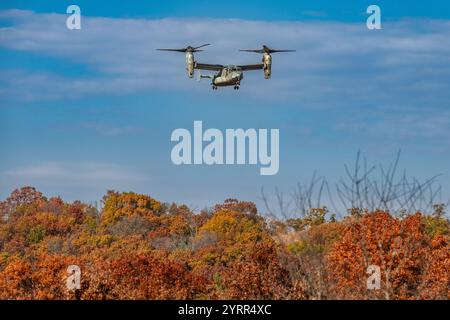 V-22 Ospreys üben Starts und Landungen am Young Air Assault Strip in Fort McCoy am 17. Und 22. Oktober 2024. Die Marine Corps Aircraft ist mit der Marine Medium Tiltrotor Squadron 161 der Marine Corps Air Sation Miramar, San Diego, Kalifornien. Die Bell Boeing V-22 Osprey ist ein US-amerikanisches Mehrzweckflugzeug für militärische Transport- und Frachtflugzeuge mit Tiltrotor und vertikalem Start- und Landebetrieb (VTOL) sowie Short Take off and Landing (STOL). Er wurde entwickelt, um die Funktionalität eines konventionellen Hubschraubers mit der Langstreckenfluggeschwindigkeit eines Turboprop-Flugzeugs zu kombinieren Stockfoto