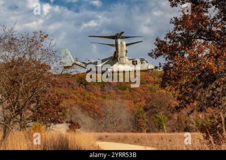 V-22 Ospreys üben Starts und Landungen am Young Air Assault Strip in Fort McCoy am 17. Und 22. Oktober 2024. Die Marine Corps Aircraft ist mit der Marine Medium Tiltrotor Squadron 161 der Marine Corps Air Sation Miramar, San Diego, Kalifornien. Die Bell Boeing V-22 Osprey ist ein US-amerikanisches Mehrzweckflugzeug für militärische Transport- und Frachtflugzeuge mit Tiltrotor und vertikalem Start- und Landebetrieb (VTOL) sowie Short Take off and Landing (STOL). Er wurde entwickelt, um die Funktionalität eines konventionellen Hubschraubers mit der Langstreckenfluggeschwindigkeit eines Turboprop-Flugzeugs zu kombinieren Stockfoto