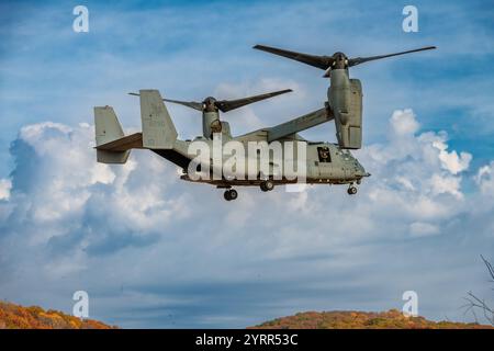 V-22 Ospreys üben Starts und Landungen am Young Air Assault Strip in Fort McCoy am 17. Und 22. Oktober 2024. Die Marine Corps Aircraft ist mit der Marine Medium Tiltrotor Squadron 161 der Marine Corps Air Sation Miramar, San Diego, Kalifornien. Die Bell Boeing V-22 Osprey ist ein US-amerikanisches Mehrzweckflugzeug für militärische Transport- und Frachtflugzeuge mit Tiltrotor und vertikalem Start- und Landebetrieb (VTOL) sowie Short Take off and Landing (STOL). Er wurde entwickelt, um die Funktionalität eines konventionellen Hubschraubers mit der Langstreckenfluggeschwindigkeit eines Turboprop-Flugzeugs zu kombinieren Stockfoto