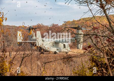 V-22 Ospreys üben Starts und Landungen am Young Air Assault Strip in Fort McCoy am 17. Und 22. Oktober 2024. Die Marine Corps Aircraft ist mit der Marine Medium Tiltrotor Squadron 161 der Marine Corps Air Sation Miramar, San Diego, Kalifornien. Die Bell Boeing V-22 Osprey ist ein US-amerikanisches Mehrzweckflugzeug für militärische Transport- und Frachtflugzeuge mit Tiltrotor und vertikalem Start- und Landebetrieb (VTOL) sowie Short Take off and Landing (STOL). Er wurde entwickelt, um die Funktionalität eines konventionellen Hubschraubers mit der Langstreckenfluggeschwindigkeit eines Turboprop-Flugzeugs zu kombinieren Stockfoto