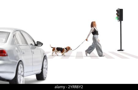 Asiatische Frau, die auf einer Straße mit einem Basset-Hund auf einer Elektrode auf weißem Hintergrund läuft Stockfoto