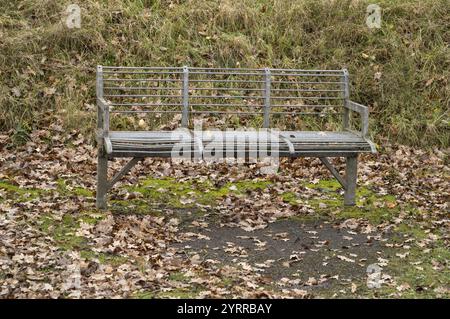 Leere, verwitterte Parkbank aus Holz, die während der Herbstsaison mit gefallenen Blättern bedeckt ist und ein Gefühl von Ruhe und Nostalgie weckt Stockfoto