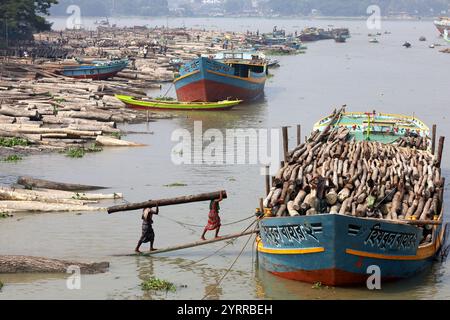 Swarupkathi, Pirojpur, Bangladesch. Dezember 2024. Auf dem größten schwimmenden Holzmarkt Bangladeschs in Swarupkathi im Bezirk Pirojpur tragen die Arbeiter große Holzstämme auf den Schultern. Die Schnittholzproduktion ist heute das wichtigste Industrieholz, das in Bangladesch verwendet wird. Es gibt etwa 5.000 Mühlen im Land, die etwa 2,8 Millionen Kubikmeter Sägewerksholz produzieren. Diese Werke beschäftigen schätzungsweise 35.000 Mitarbeiter. (Kreditbild: © Syed Mahabubul Kader/ZUMA Press Wire) NUR REDAKTIONELLE VERWENDUNG! Nicht für kommerzielle ZWECKE! Stockfoto