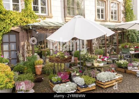 Mit Blumen in einem alten Dorf Stockfoto