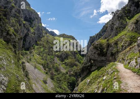 Der Wanderweg „Cares Route“ führt durch den Nationalpark picos de Europa in spanien Stockfoto