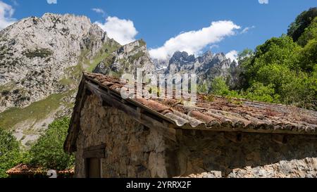 Alte Steinhütte mit moosigem Ziegeldach in den Bergen von picos de Europa Stockfoto