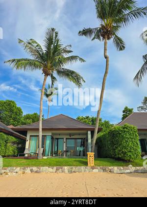 Genießen Sie einen ruhigen Rückzugsort in Thailand, wo charmante Villen von hohen Palmen eingerahmt sind. Der klare Himmel und das üppige Grün schaffen eine perfekte Atmosphäre für Entspannung und Abenteuer. Stockfoto