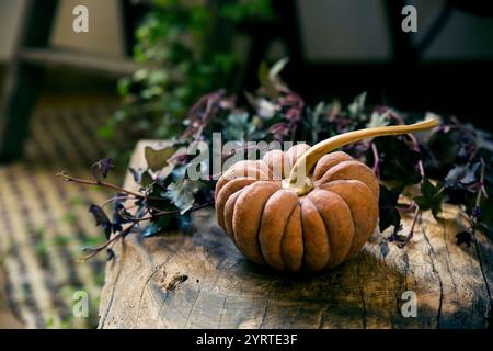 Halloween-Kürbisse auf einem alten Holztisch dekoriert Stockfoto