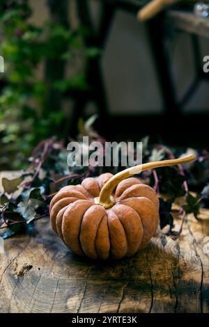 Halloween-Kürbisse auf einem alten Holztisch dekoriert Stockfoto