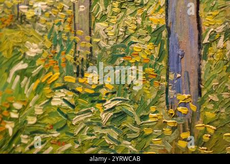 Vincent van Gogh, zweistelliges Unterholz (Nahaufnahme). Stockfoto