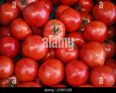 Blick von oben auf ein paar Tomaten Stockfoto