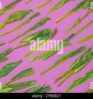 Dies ist ein wunderschönes Muster mit grünen Blättern vor einem leuchtend rosa Hintergrund Stockfoto