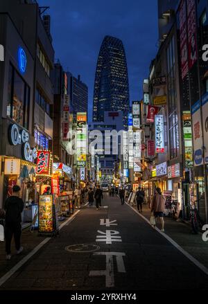 Neonbeleuchteter Blick auf Shinjuku in Japan mit Restaurants und Geschäften Stockfoto