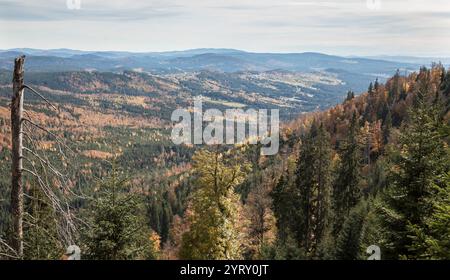 Hochlagen im Bayerischen Wald, Hochlagen im Bayerischen Wald Stockfoto