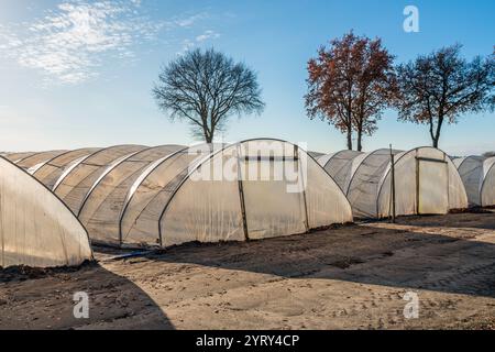 HOEVEN - Hintergrundfoto von begehbaren Tunneln aus Kunststofffolie. Der Tunnel ist für den vorgesehen, um Erdbeeren früher zu Reifen und widrige Witterungsbedingungen zu verringern. Unten befinden sich Bodenrücken, die mit landwirtschaftlichem Kunststoff bedeckt sind, in die später Erdbeerpflanzen gepflanzt werden. Das Foto wurde an einem sonnigen Morgen in der Herbstsaison in den Randbezirken des Dorfes Hoeven in Halderberge aufgenommen. ANP / Hollandse Hoogte / Ruud Morijn niederlande Out - belgien Out Stockfoto