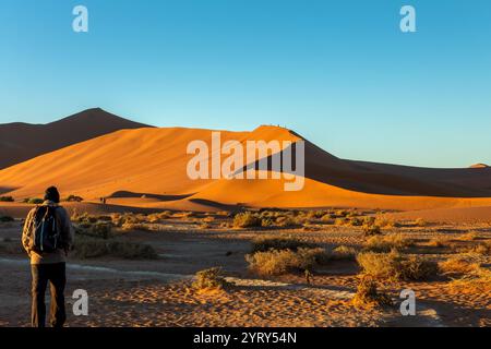 Touristen klettern auf Big Daddy Sanddünen bei Sonnenaufgang in Sossusvlei, Namib Naukluft Nationalpark, Namibia szenische Landschaft, Afrika Stockfoto