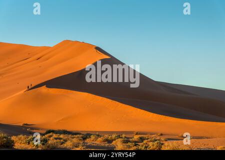 Silhouetten von Menschen, die bei Sonnenaufgang die Big Daddy Sanddüne erklimmen, in Sossusvlei, im Namib Naukluft Nationalpark, in der landschaftlich reizvollen Landschaft Namibias, in Afrika Stockfoto
